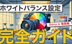 カメラのホワイトバランス設定完全ガイド（Sony α 動画編）